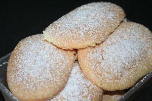 biscuit cuillère (1)