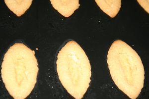 barquettes-au-chocolat--3-.JPG