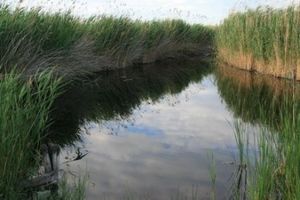 Blog 10