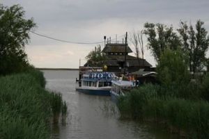 Blog 2