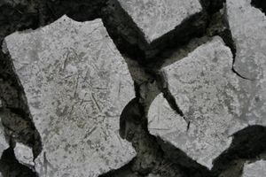 Blog 6