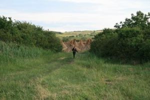 Blog 9