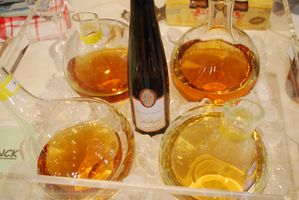 Vins-2011-0120.JPG