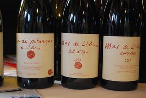 Vins-2011-0138.JPG