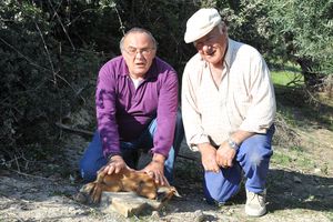 perrito2.jpg