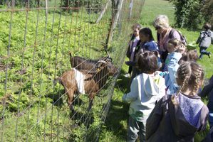 2012 06 18 FERME AUTRUCHES034