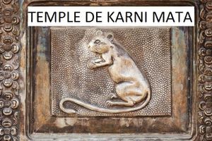 P1150819-karni-mata.jpg