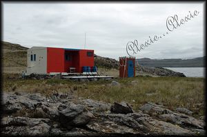 kerguelen--Ile-Guillou--12a.jpg