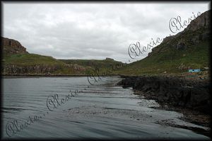 kerguelen--Ile-Guillou--7a.jpg