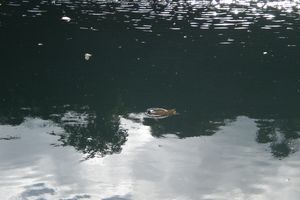 CIMG0696