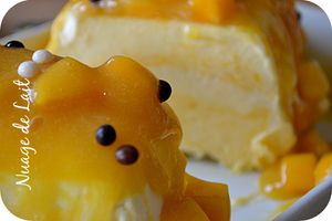 Parfait Glacé à la Mangue et Coco