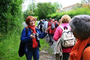 ballade-annuelle-des-randos-2013 9193