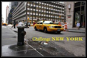 Challenge-new-york-en-litterature---well-read-kid