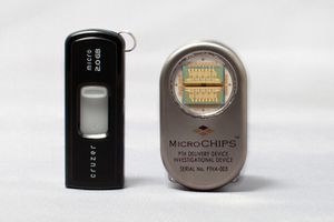 microchips.jpg