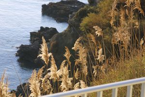 pornic-hors-saison-009.jpg