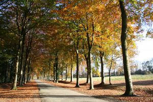 parc de la bourbansais