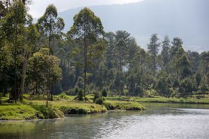 20101027-Indonesia-5447
