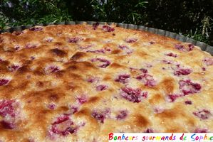 tarte chocolat blanc framboises 10