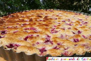 tarte chocolat blanc framboises 11