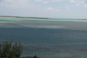 ile-aux-chats--21-.JPG