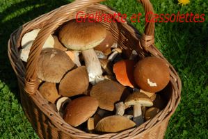 Cepes_T.jpg