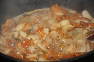Poulet gaston