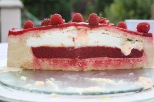 fraise rhubarbe (5)