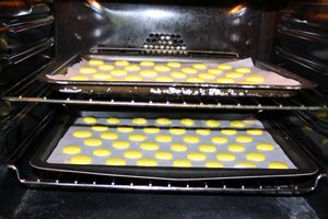 macarons 2231 modifié-1