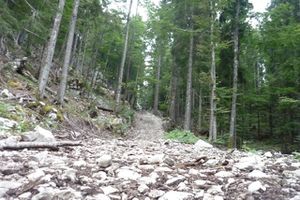 P1100063.JPG