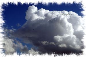 20100401_8-1nuage.jpg