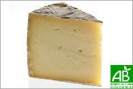 Tomme_Chapelaine_4f901a534ab84.jpg
