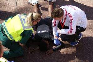 Virgin Money London Marathon 2014 (33^ ed.). L'evento è stato purtroppo funestato dalla morte di un runner