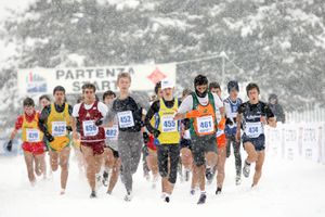 campaccio020