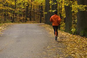 Solo Autunno