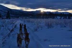 Iditarod-0009--2-.JPG