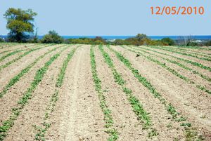 Paysage-105-Qhou