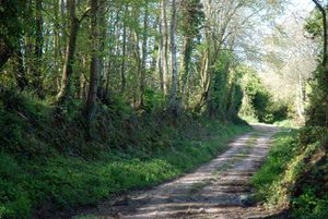 paysage-020