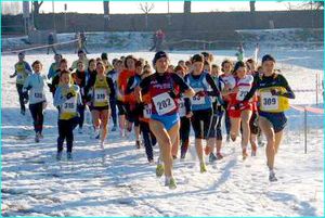 cross_pescantina_09.jpg