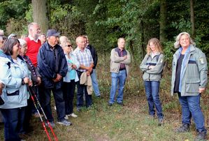 Infogang2012 12 Waldbewirtschaftung 2