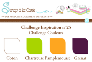 ci251010.png