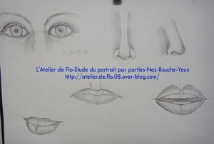 Etude Portrait dessin croquis yeux nez bouche Atellier de Flo24