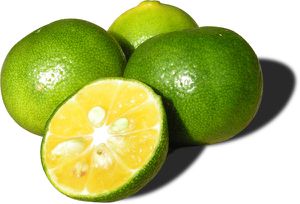 --------copie-1.jpg