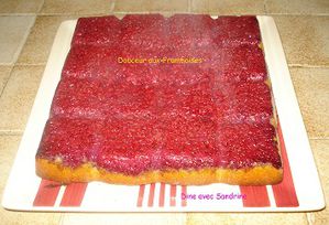 Douceur-aux-Framboises-6.jpg