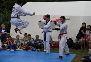 30jasp 01 Taekwondo 00a