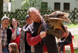 FruehlingsfestGreifvogelschau 03 Uhu 04