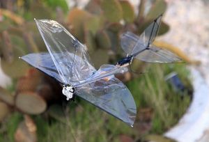 IAI-Butterfly-pic2.jpg