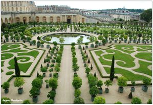Versailles Orangerie 2