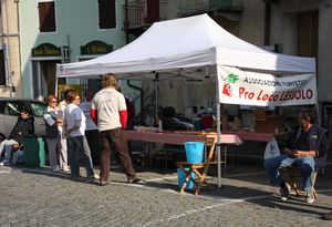 100-km-delle-Alpi 9501