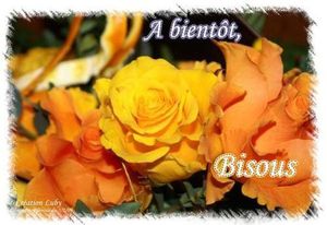 ;;;;;roses