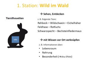 Bild14